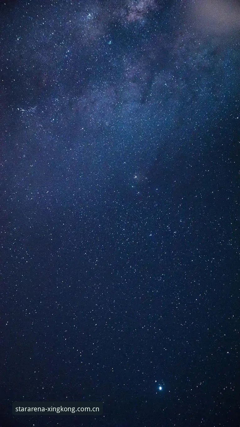 星空体育安卓版 5个关键数据告诉你为何选择星空体育安卓版